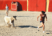 A small bull chases Stephanie in Spain. http://www.enjoy-europe.com/BullFlight-s.jpg