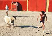 A small bull chases Stephanie in Spain. http://www.enjoy-europe.com/home/BullFlight-s-3.jpg