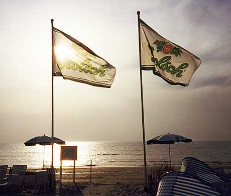 Two Grolsch bier flags at Zandvoort on the sea in Holland.