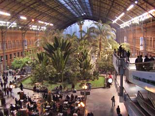 The beautiful Atocha train station in Madrid, Spain is unique.